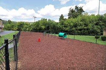 Bark park with seating